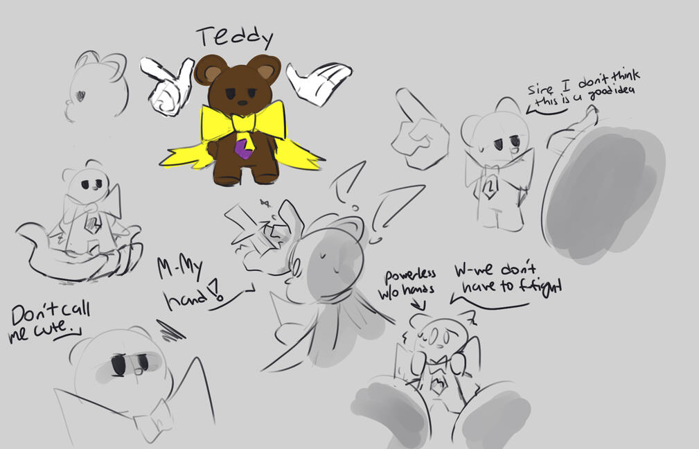 teddy